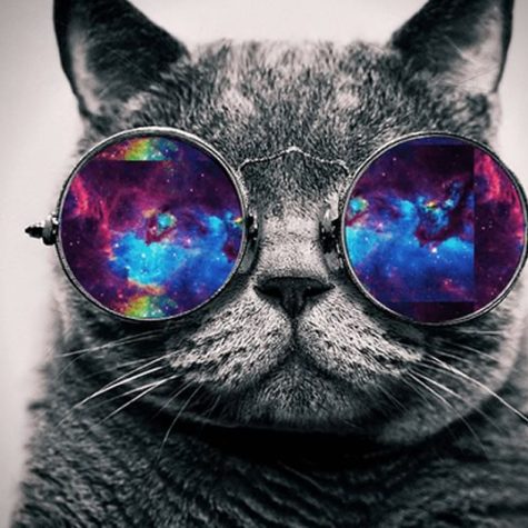 Standard post with preview picture